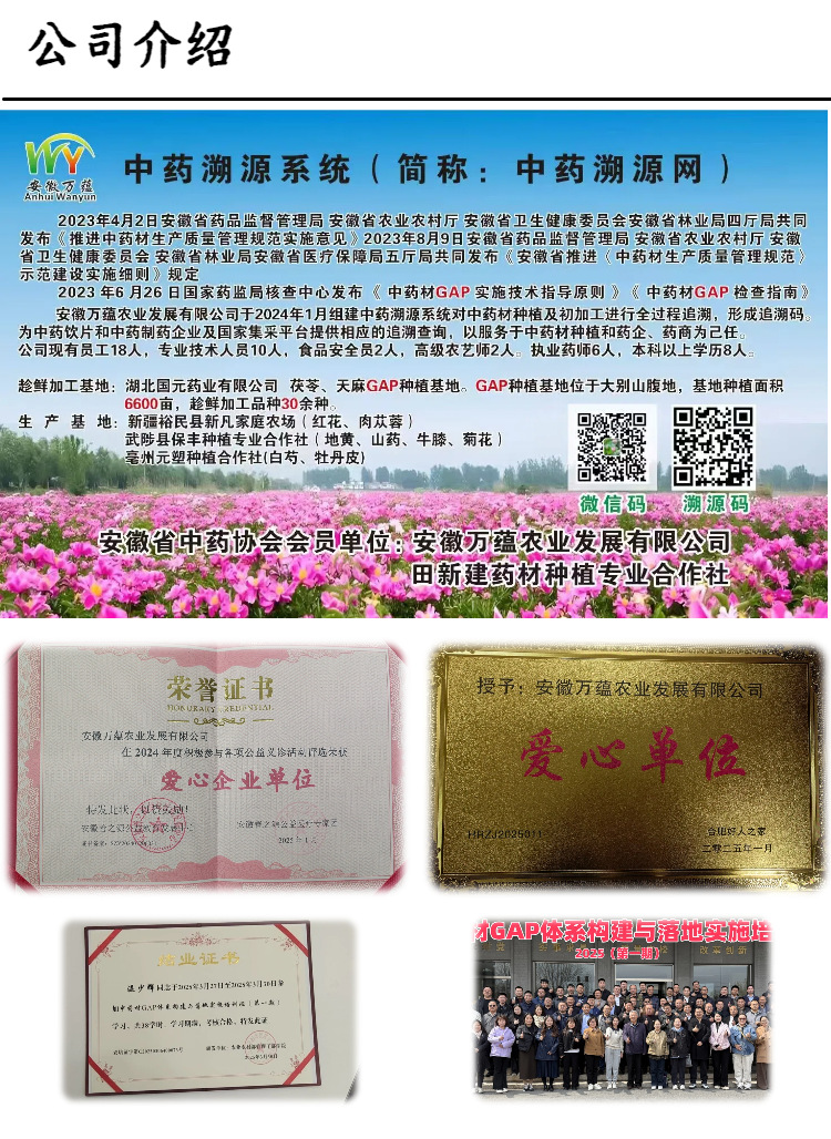 Astragalus Root Slices Huang Qi 甘肃岷县 Wild-Crafted Large Cut 0.6-0.8cm Diagonal Slices 100g Trial Pack Sun-Dried No Sulfur for Tea and Soup preparation