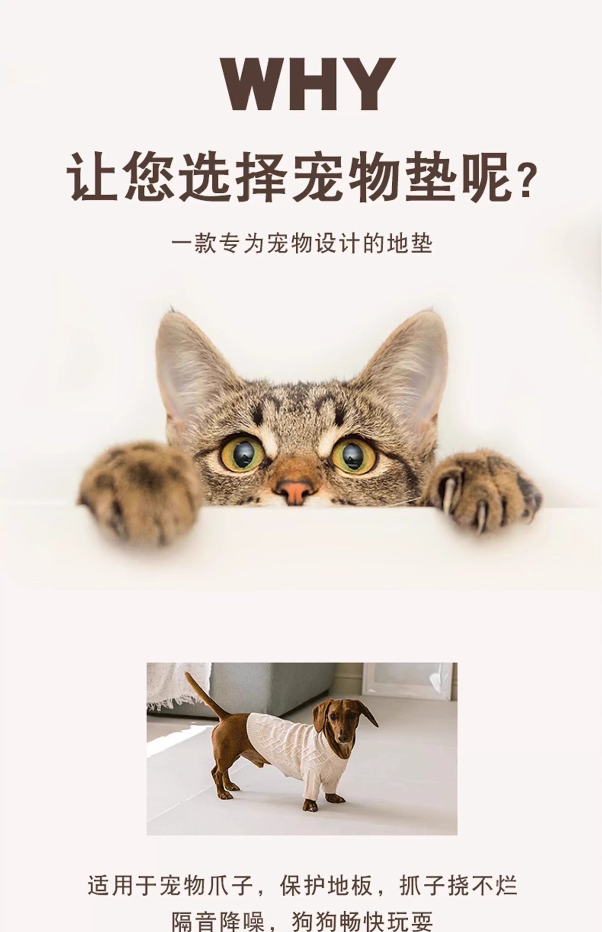 Simple Cartoon One-Touch Clean Pet Floor Mat Waterproof and Urine-Proof Pet Mat No-Wash Easy Care Pet Fence Mat Dropshipping