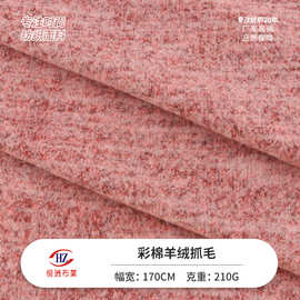 现货210g彩棉羊绒抓毛 TR双色弹力针织面料 秋冬时尚毛衣打底布料
