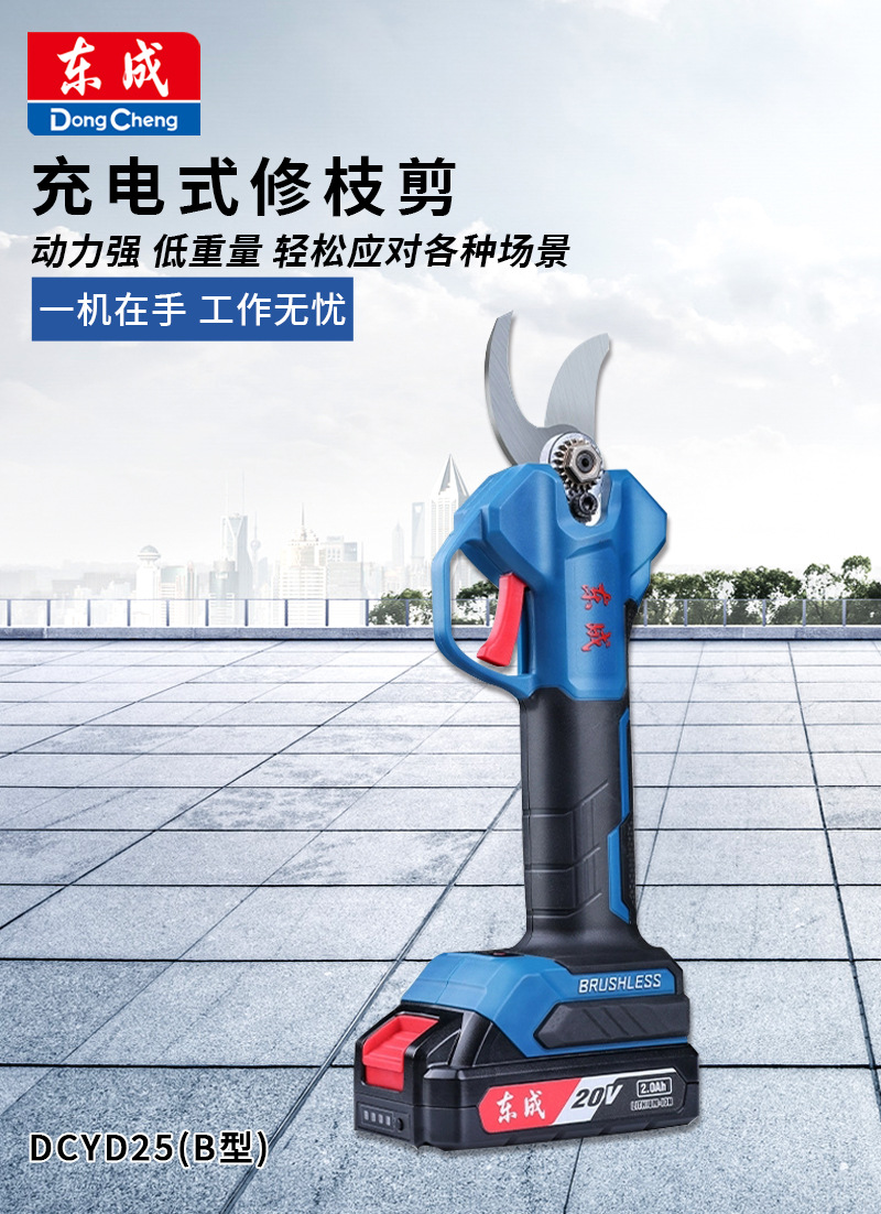 东成DCYD25B_01