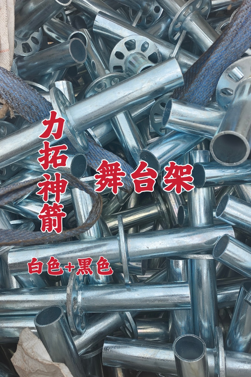 IMG_202311269336_1000x1500