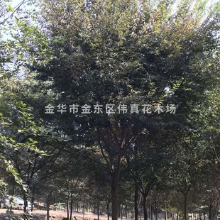 ���ع����Θ� Ҏ���Rȫ �Θ�  �@�ֹ��̾G����ľ