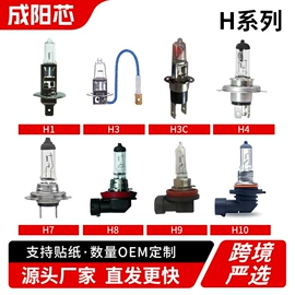 大灯、前照灯;其他车灯