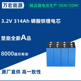 锂电池;光伏储能系统;家庭储能电池