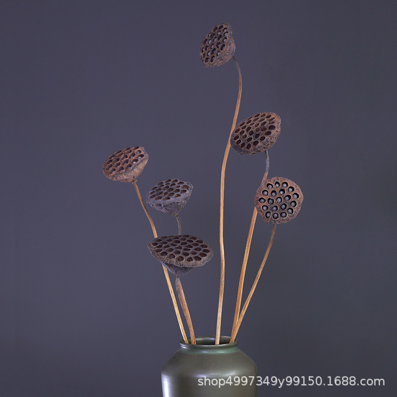 800带杆莲蓬.jpg