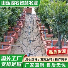 滴箭灌溉分支插地温室大棚用可调压力补偿滴头一出二滴箭厂家