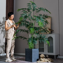 �߶��p�ݵ��K�F����Gɫֲ���������҃ȿ͏d����b[�����