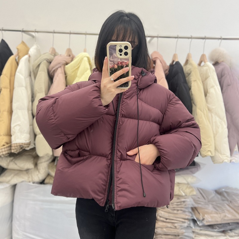 앙고라 레드
