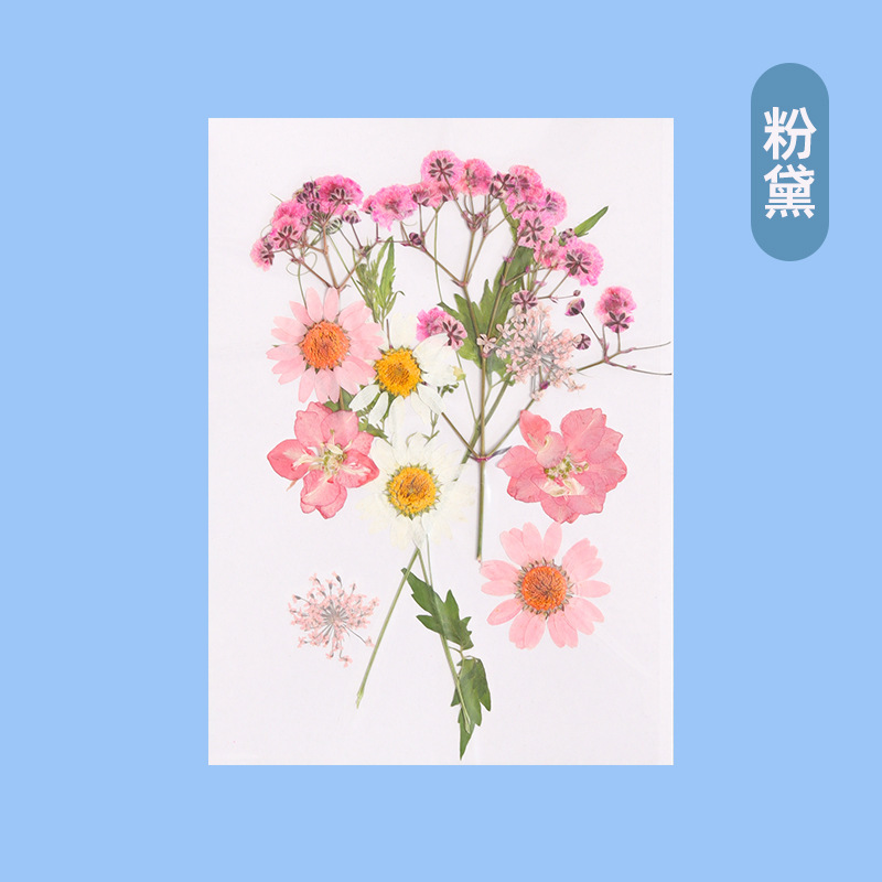 古代製紙セット夏の休暇活動子供の手作り材料パッケージ diy 花と草紙製紙フレーム紙パルプ|undefined