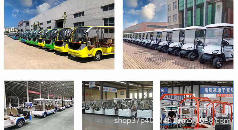 Electric Golf Cart Sightseeing Vehicle 2-10 Seats for Tourist Attractions, Parks, Hotels, Property Tours, and Beach Use