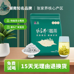 ���ҽ�ݮ��S�����l�ؼ����ѿ���ʩ�����ٲ�2025�²�ֱ�����l