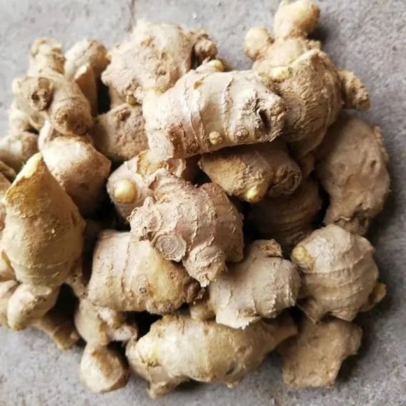 Ginger No mud Scrap edible Trade price Air-dried ginger Fresh vegetables Cross border Electricity supplier