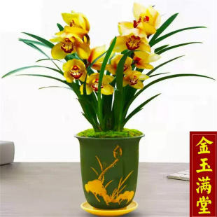 �������� ����M���m�����ػ� ���B�׻��m���� ϡ���m�� �ļ�����