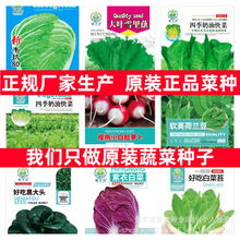 鸡毛菜种子生菜种籽菠菜快菜青菜叶菜四季蔬菜春季高发芽率种子