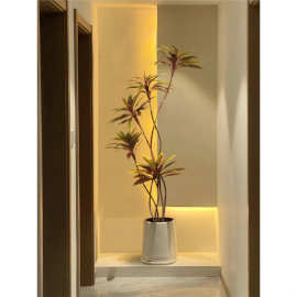 仿真朱蕉绿植高端轻奢室内客厅玄关仿生假植物诧寂风大型落地盆栽