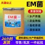 活化生物生长复合菌肥