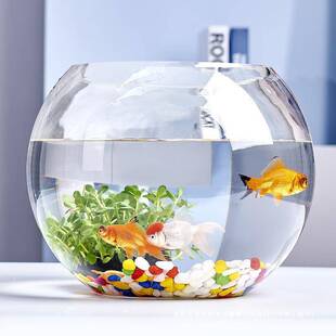 Desk Glass Fish Tank Goldfish Tank Aquarium Living Room Small Desktop Turtle Tank Transparent Round Home Other