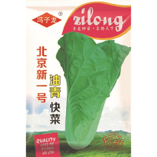 ������һ̖������ �߲˹���N�ӏS���T����ֱ�����������ش�