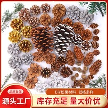 跨境松果创意手工diy材料森林干花天然松塔幼儿园圣诞装饰花瓣