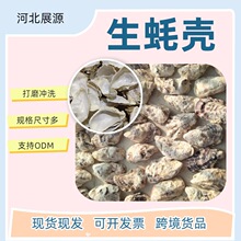 ���ǰ����бP�͹�����b���P�錚��ָ���չʾ�P�Ĕz����