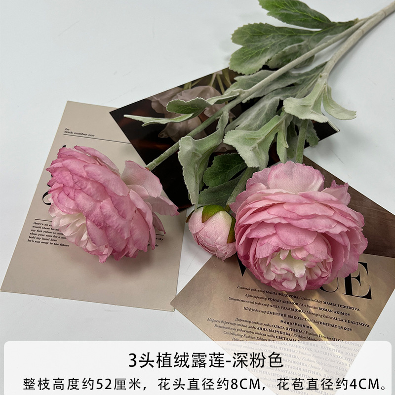 몰려든 다크 핑크