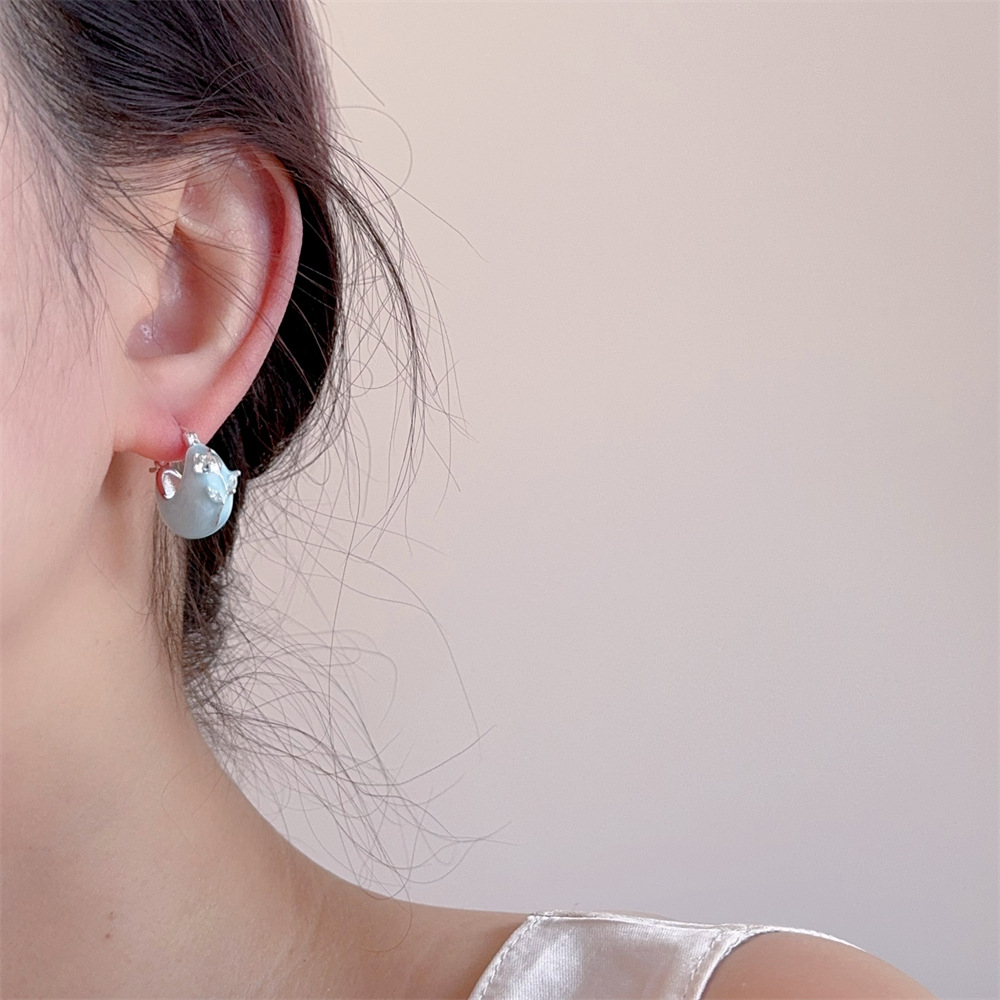 1 Pair Elegant Sweet Geometric Alloy Hoop Earrings display picture 2