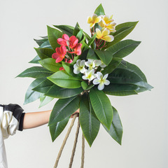 仿真塑料假花裝飾 3D手感雞蛋花 店鋪櫥窗造景仿真樹嫁接花材