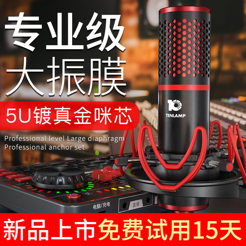 Ten lights P10 microphone 48V condenser microphone set mobile phone computer universal full set of live equipment