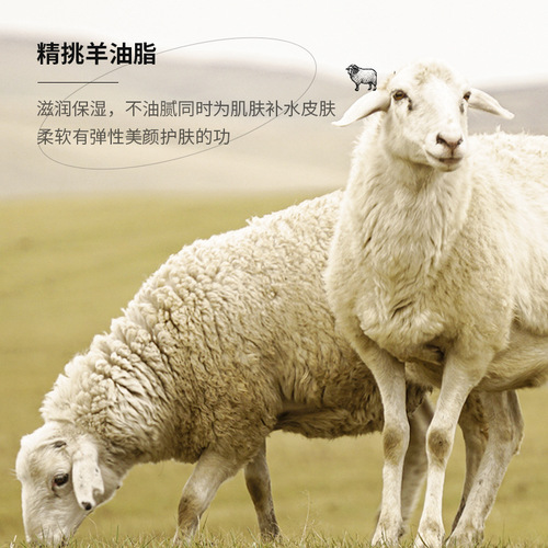 Lamb Oil Face Cream for Whole Body Hydration, Non-Greasy, Suitable for Autumn and Winter Moisturizing, Prevents Dryness and Cracking, Vaseline Cream Wholesale