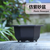 Plastic small flowerpot, plant lamp, jewelry, suitable for import