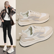 С���\��ЬŮ2026�¿���p������Ь����ϵ�Ь�ٴ��ܲ���Ь