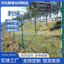 ����Ȧ�؎��̇��������W���P䓴��K�������I���̟���\�p���F�z�W