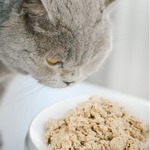 宠物主食罐全价猫主食罐头湿粮包鸡肉鸽子牛肉鳕鱼口味代工专享