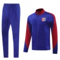 2425 Barcelona Purple Blue