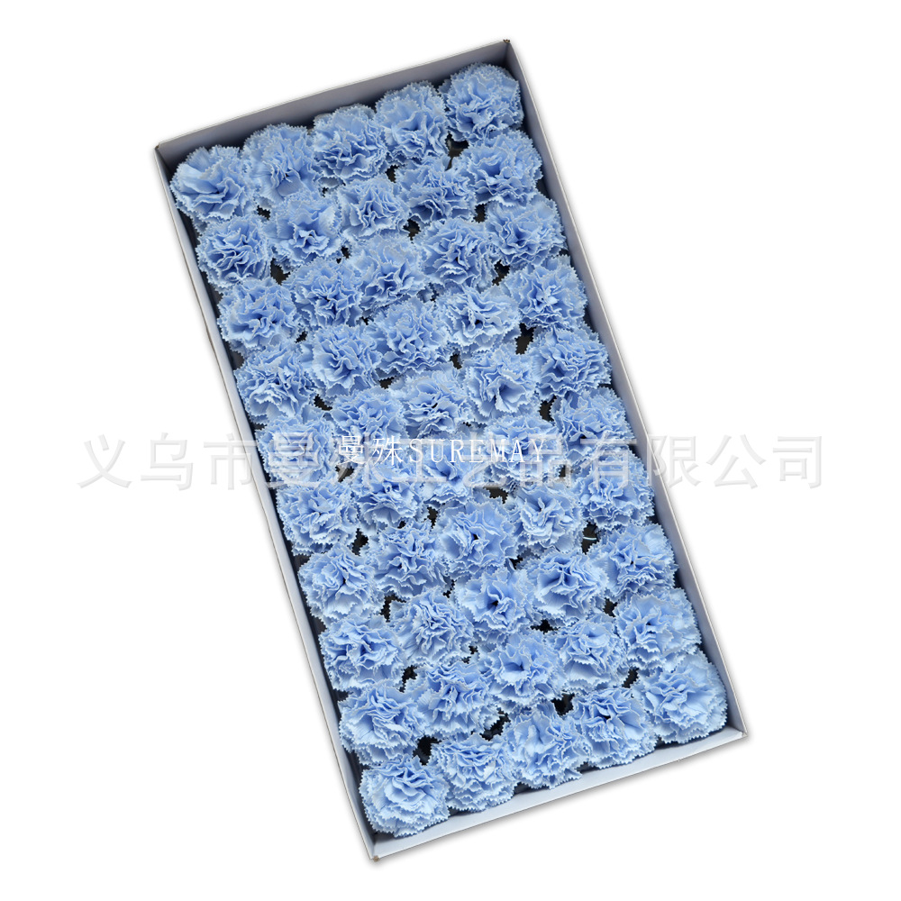 Millennium Carnation [Misty Blue]