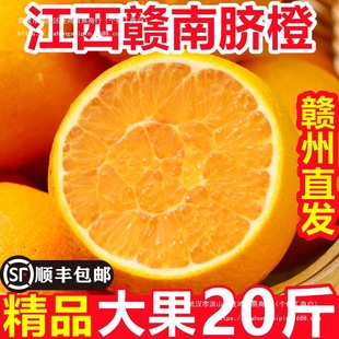 ���r��ժ���ڽ����M��Ě�Ȯ���ˮ���M��ֱ�l�ք�������ش��20��