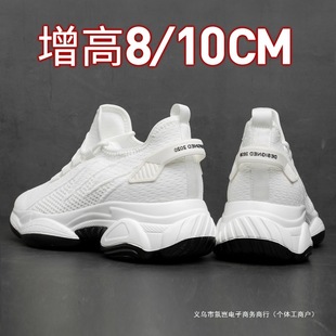 �＾�W������Ь��10cm8cm6cm���e͸��r���[�΃������������\��Ь