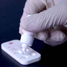 猫血型检测卡繁育B血型筛查  Feline Blood Typing Test Kit