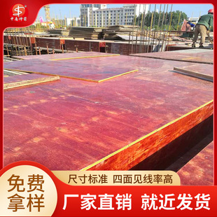 ľģ�����l�S�ҹ��� �|���� �����D6-15�� �gӭ�����ԃ