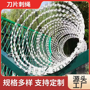 刀片刺绳镀锌刺丝滚笼不锈钢防爬刺网围墙铁蒺藜防盗网定制-阿里巴巴