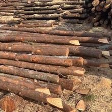 ������ɽ̨����ľ�� ��Ҏ���ľ�r�� �@�ֺӵ����@��ش�ԭľ