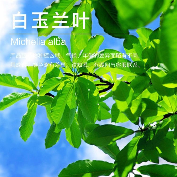 ��Ʒ5ml/ƿ ������Ҷ����С����Ӧ ��ӭ��ѯ������� ��������