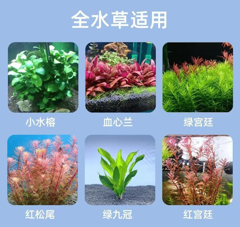 1fc60a5f-83c4-4e20-9b9e-b09a3e1d32f3.jpe