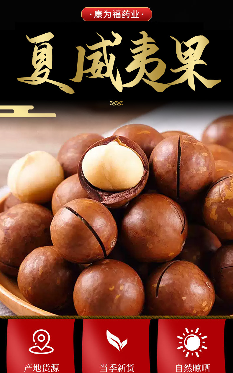 Macadamia Nuts (Macadamia integrifolia) — Creamy Jumbo Raw Food Nut, 500g overview