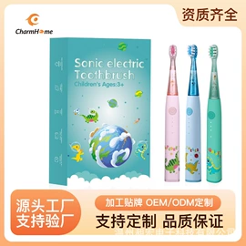 电动牙刷;冲牙器;牙刷