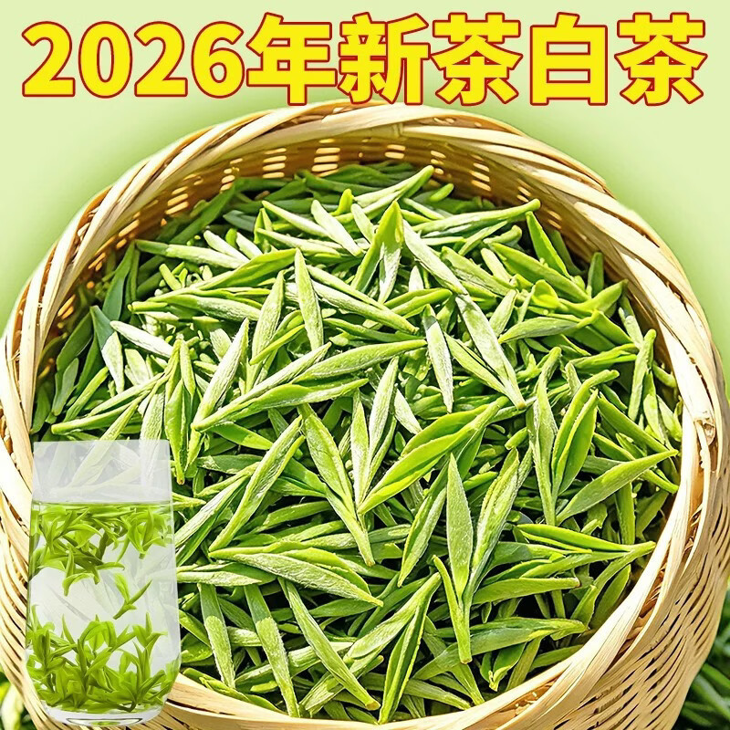 Authentic White Tea Anji 2026 New Tea High Mountain Green Tea Pre-Rain First-Grade Rare Tea Leaves for Personal Consumption in Bulk Authentic White Tea Anji 2026 New Tea High Mountain Green Tea Pre-Rain First-Grade Rare Tea Leaves for Personal Consumption in Bulk