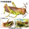 BY soft rubber locust (TPR material)