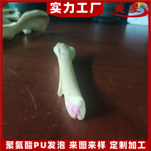 Experimental teaching simulation animal puppy femur model polyurethane foam femur manufacturers with red core bone marrow