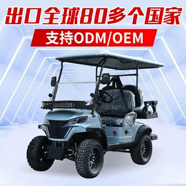 电动观光车;高尔夫球车;其他电动车