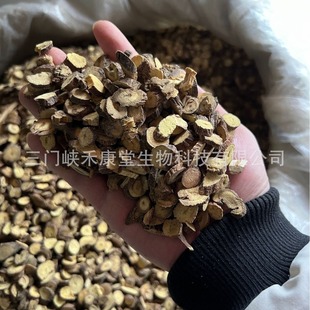 �̿������l�ʲ�500��ɢ�b�½��ʲ�Û���ʲ����licorice